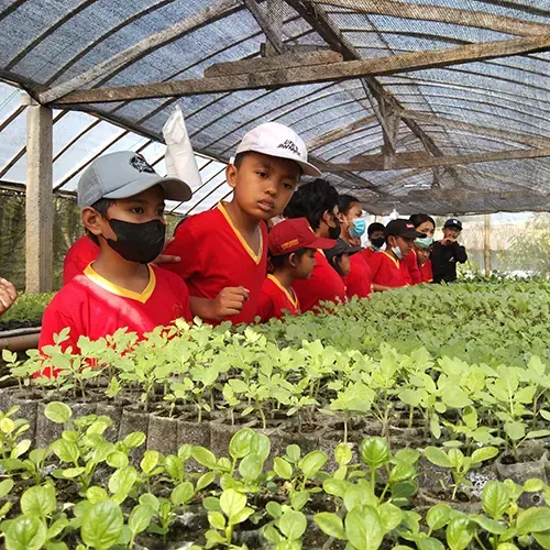 kursus Big Thumbnail