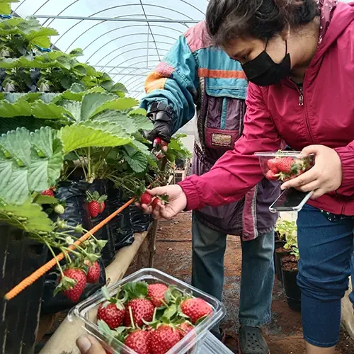 kursus Big Thumbnail