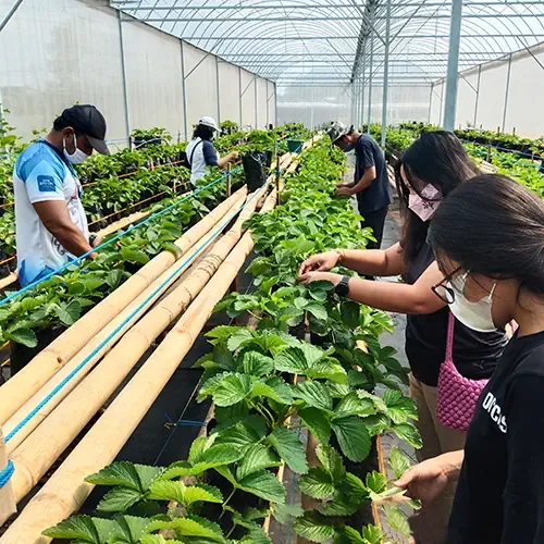 kursus Big Thumbnail